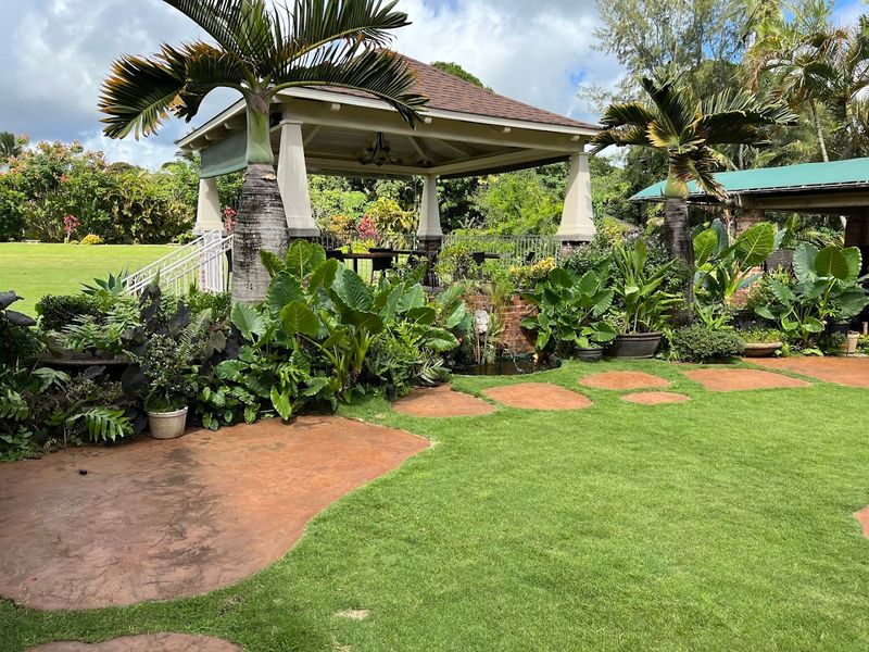 Exploring the Kilohana Grounds Before or After Your Meal Exploring the Kilohana Grounds Before or After Your Meal