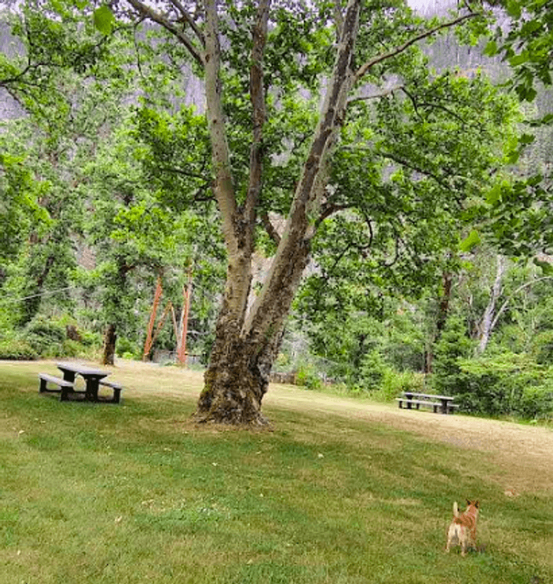 Facilities and Amenities at the Trailhead