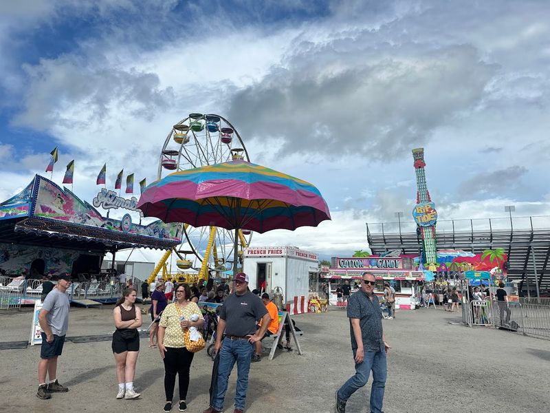 Fair Food That Deserves Its Own Highlight Reel