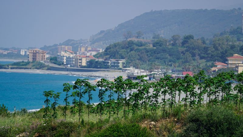 Falerna, Calabria