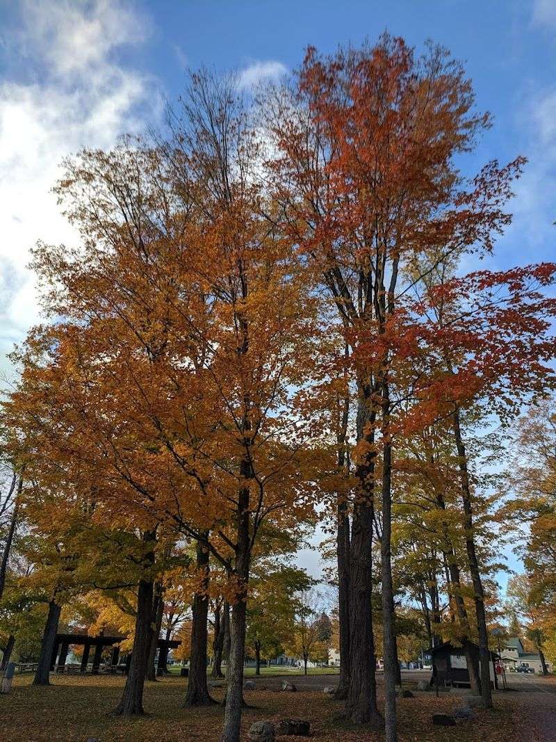 Fall Foliage Season: When the Park Reaches Its Most Dramatic Form