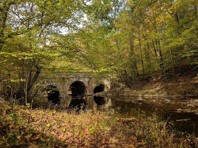 Fall Foliage and the Quieter Pleasures of October Trails Fall Foliage and the Quieter Pleasures of October Trails