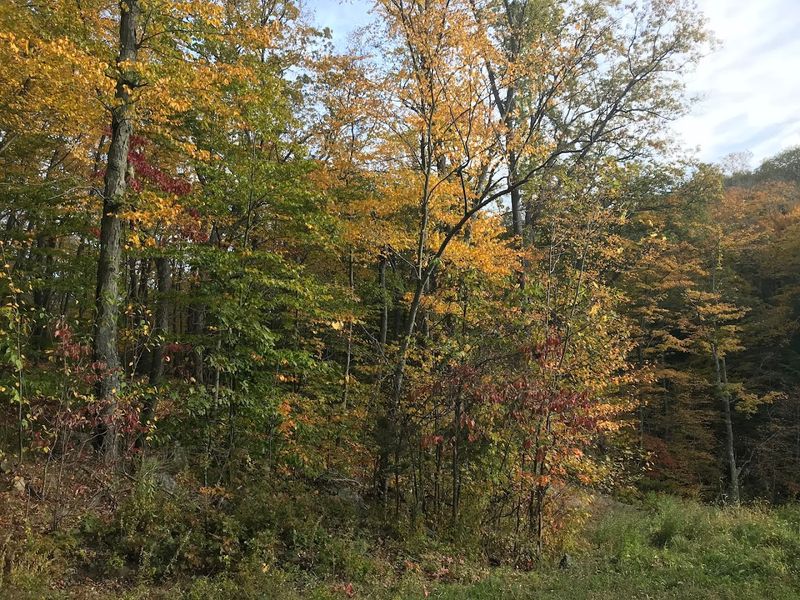 Fall Visits Are Just as Rewarding Fall Visits Are Just as Rewarding