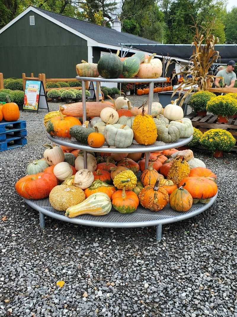 Fall at the Farm Is a Whole Event in Itself