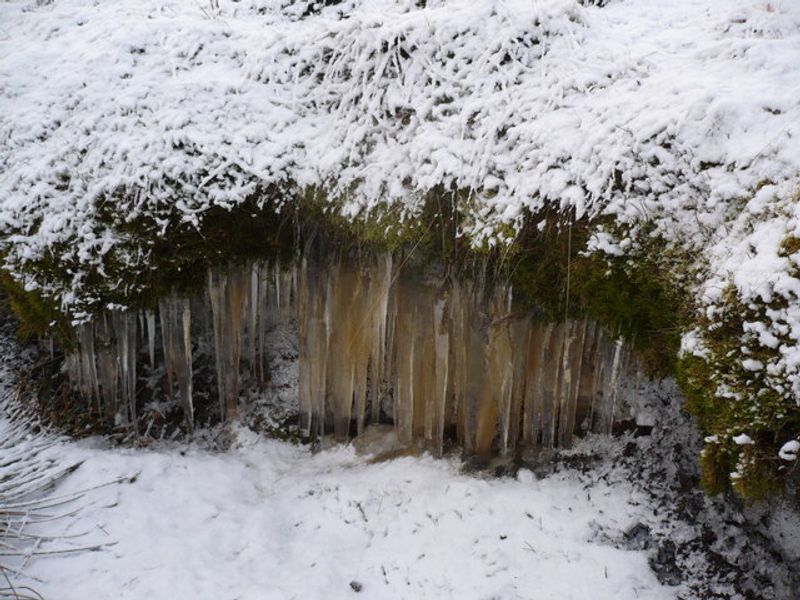 Falling Icicle Deaths
