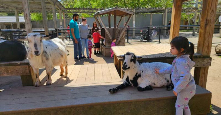 Families Keep Returning to This Michigan Zoo for the Friendly Goats, Big Cats, and Scenic Riverfront Setting