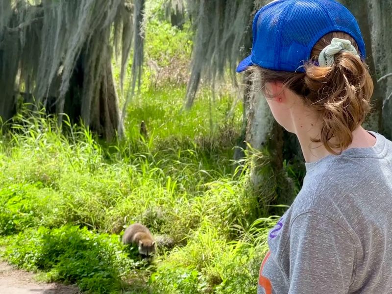 Family-Friendly Features: A Great Day Out for All Ages