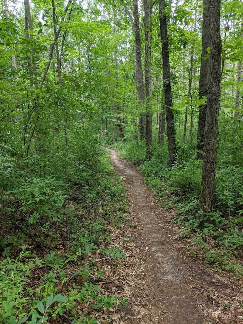 Fast and Flowing Singletrack That Keeps You Grinning
