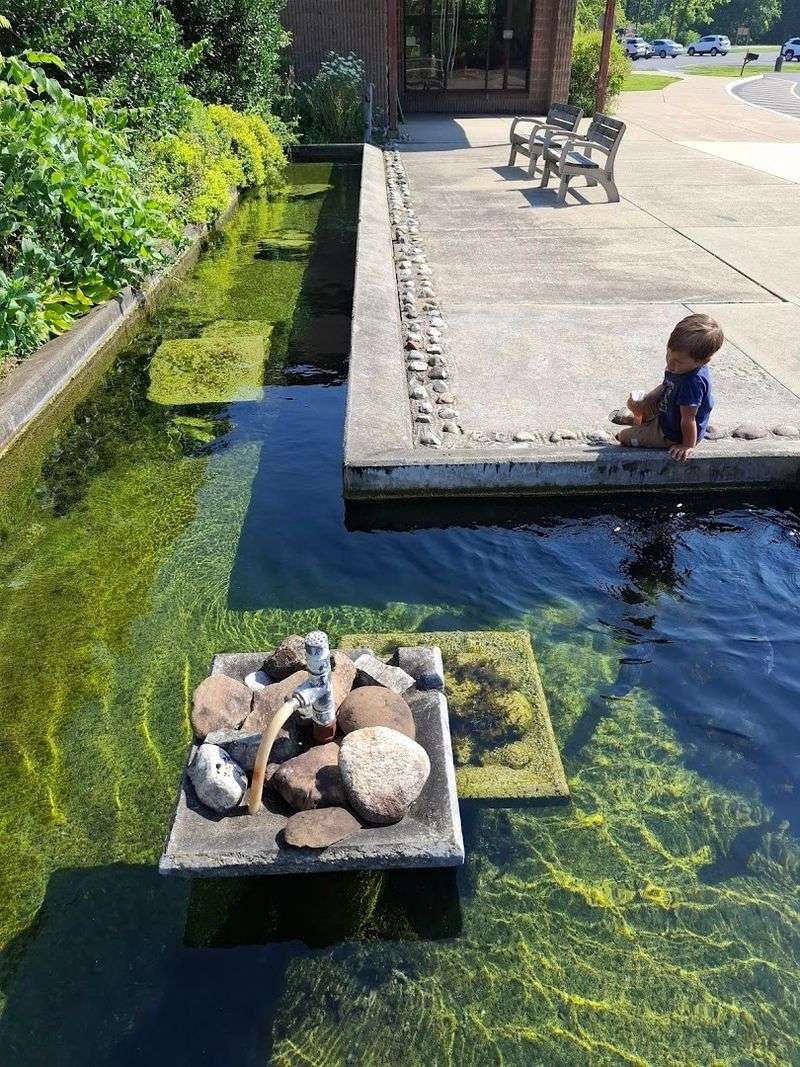 Feeding the Fish: The Part Kids Remember Most Feeding the Fish: The Part Kids Remember Most
