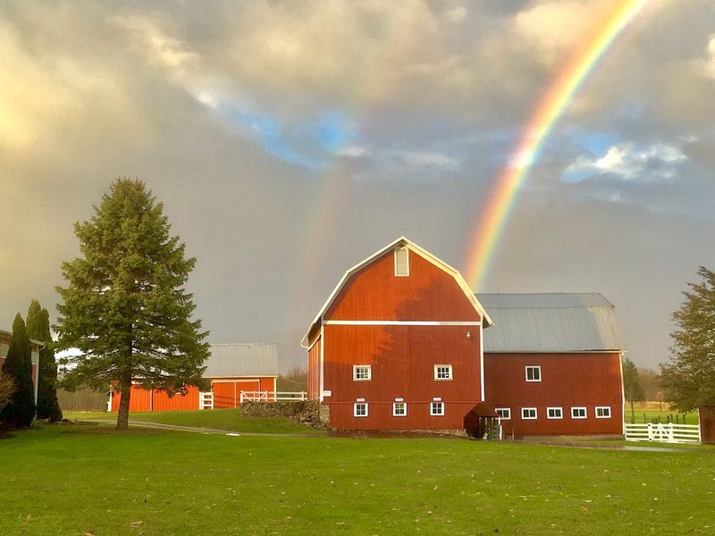 Fifty-Two Acres of Pure Michigan Countryside