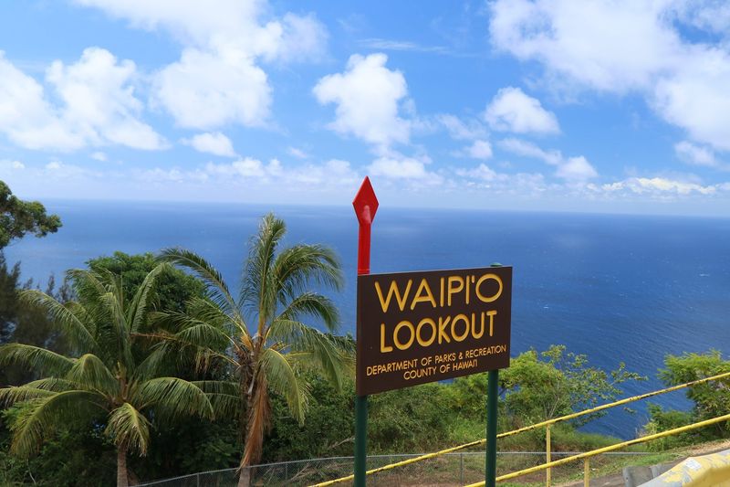 Final Thoughts: Why This Lookout Belongs on Every Big Island Itinerary Final Thoughts: Why This Lookout Belongs on Every Big Island Itinerary