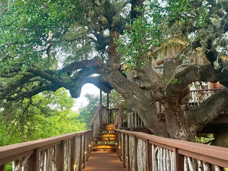 Finding The Laurel Tree: Address, Location, and How to Get There