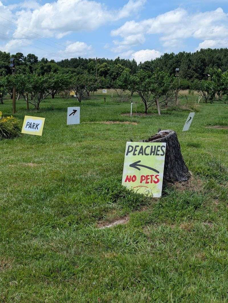 Finding the Farm: Address and Location Finding the Farm: Address and Location