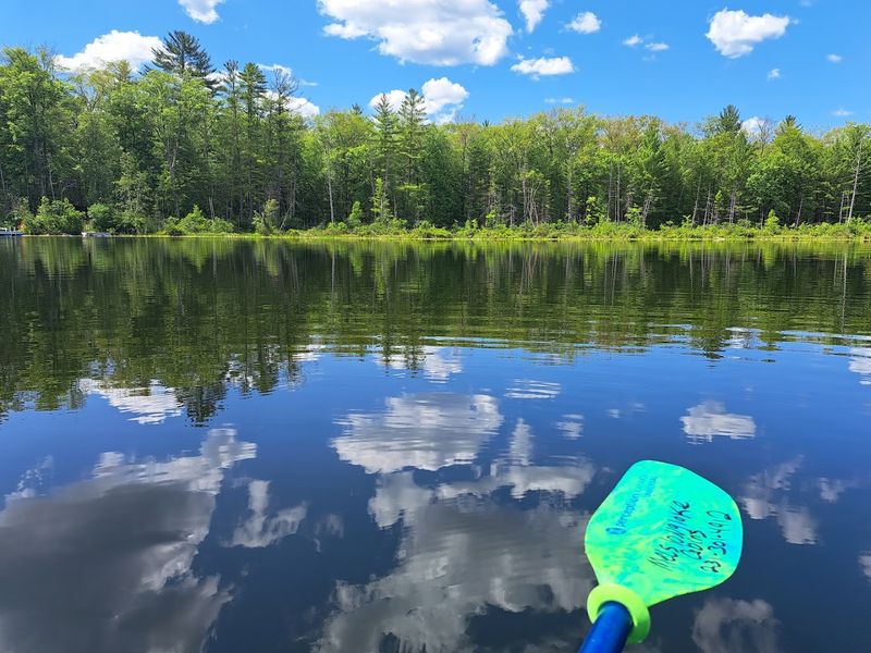 Fishing, Foraging, and the Forest Just Beyond the Trees