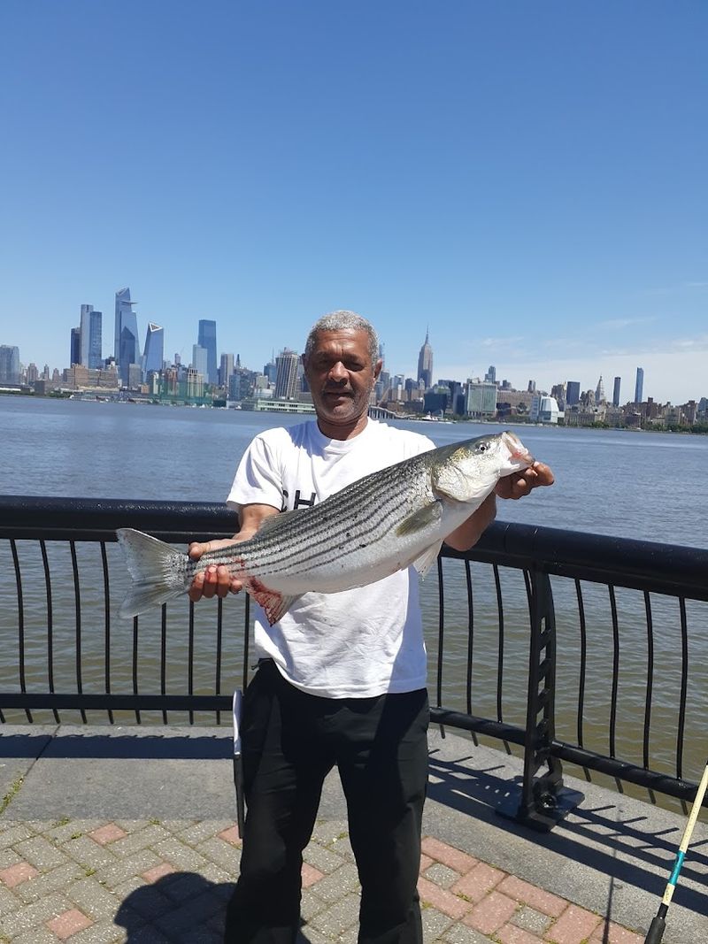 Fishing Off the Pier