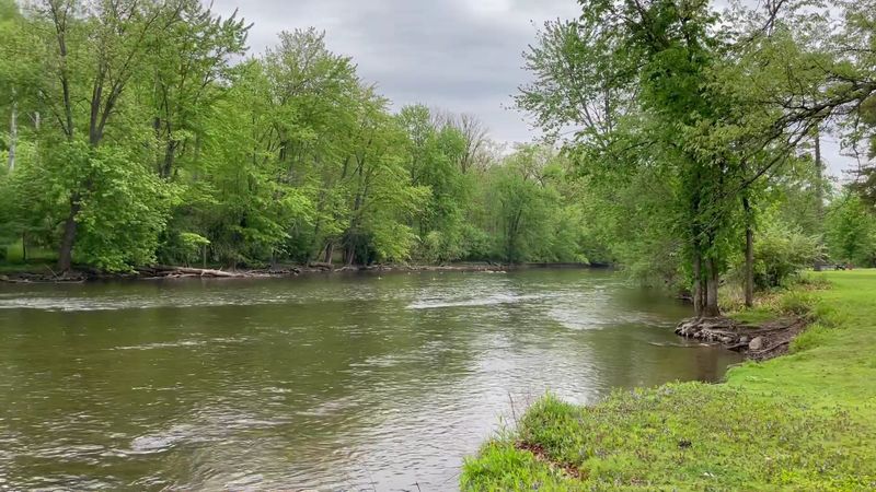 Fishing Spots That Reward the Patient Visitor