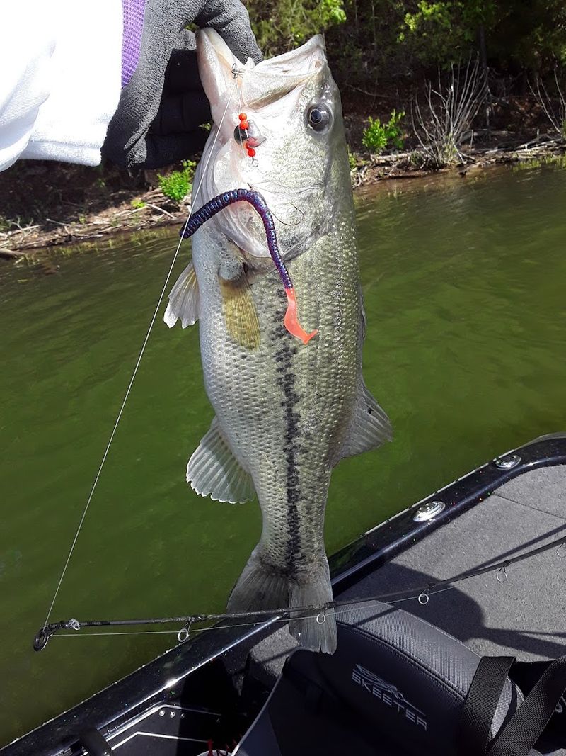 Fishing That Keeps Anglers Coming Back