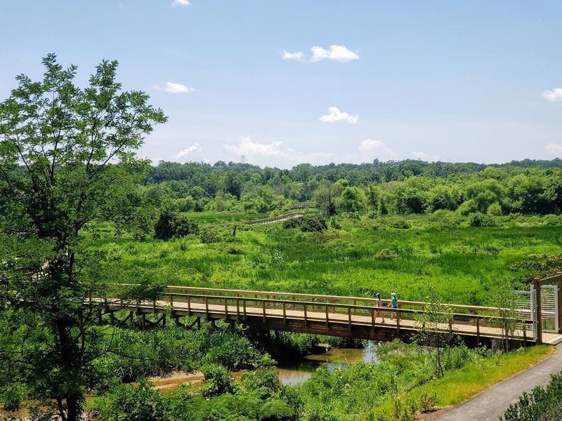Fishing at the Creek: A Quiet Hobby With a Great Backdrop