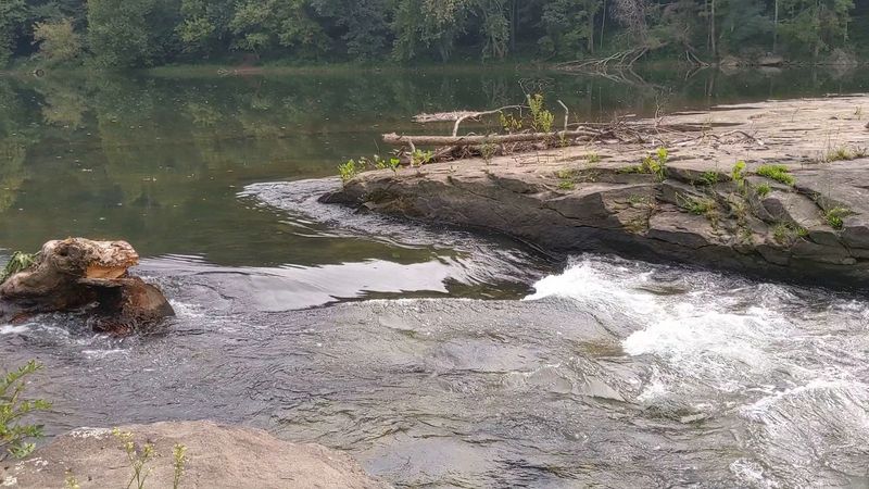 Fishing the Tygart Valley River
