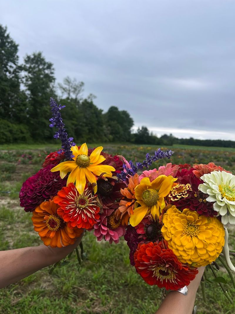 Flower Picking That Steals the Show