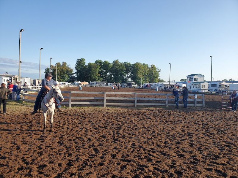 Livestock Shows and Agricultural Exhibits