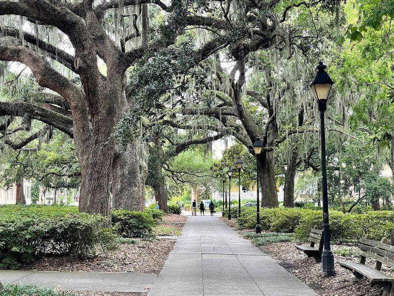 Forsyth Park Forsyth Park