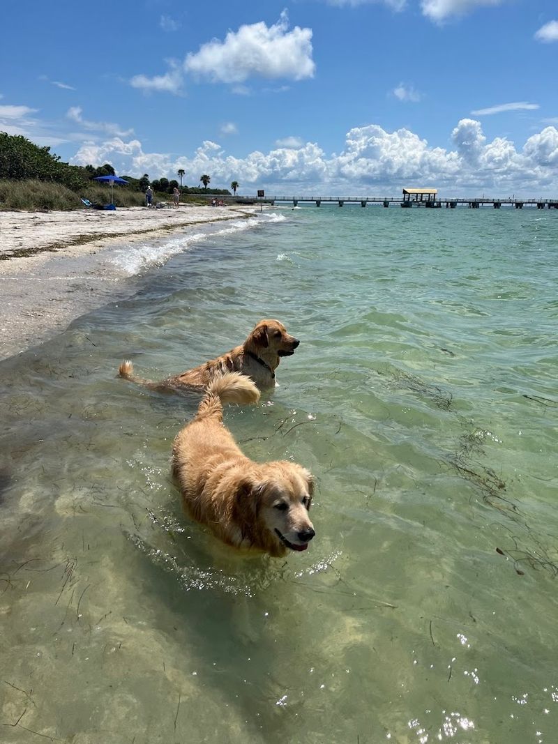 Fort De Soto Dog Beach, Tierra Verde