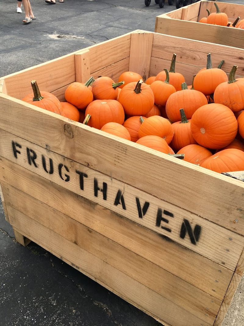 Forty Acres of Apples and a Pumpkin Patch That Earns Its Own Reputation