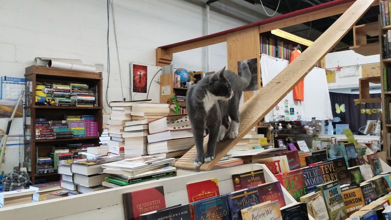Fostering More Than Just a Love of Reading Fostering More Than Just a Love of Reading