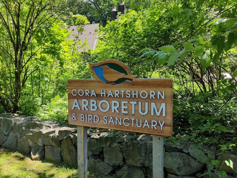 Free Admission and Why Donations Actually Matter Here