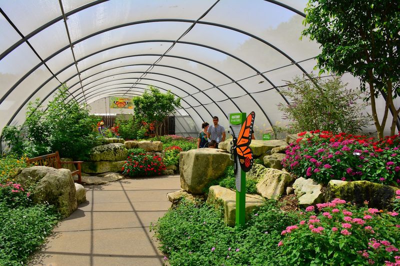 Free-Flying Butterflies and the Hatching House That Steals the Show Free-Flying Butterflies and the Hatching House That Steals the Show