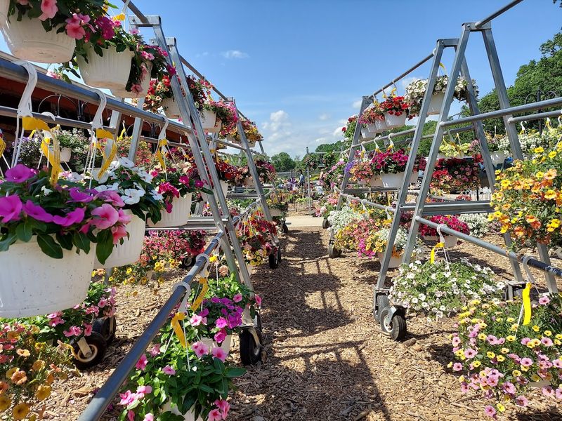 Fresh Flowers and Garden Plants for Home Growers Fresh Flowers and Garden Plants for Home Growers