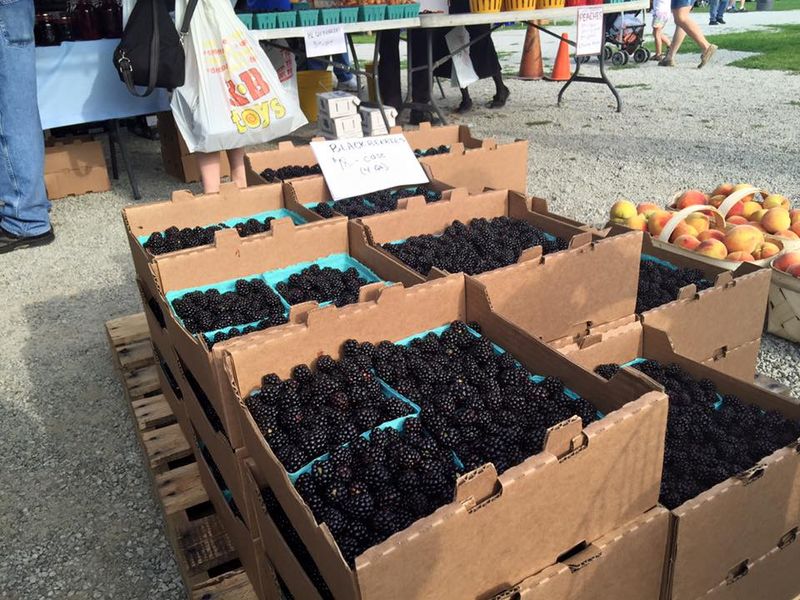 Fresh Produce and Farm Goods That Actually Come From Farms Fresh Produce and Farm Goods That Actually Come From Farms