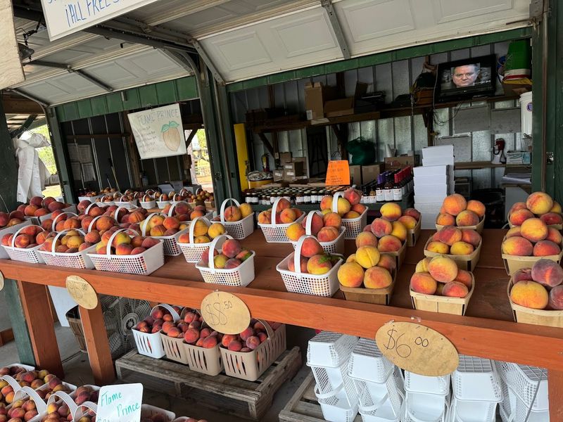 Fresh Produce on the Property