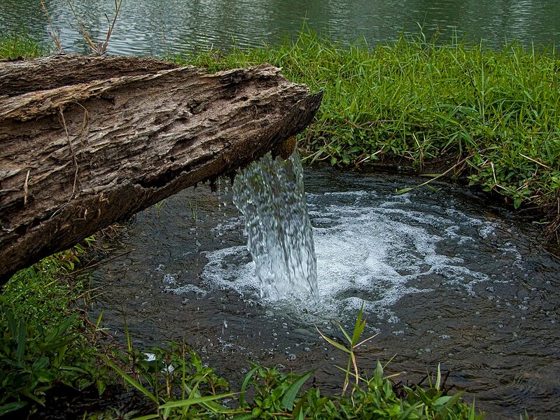 Fresh Water Fresh Water