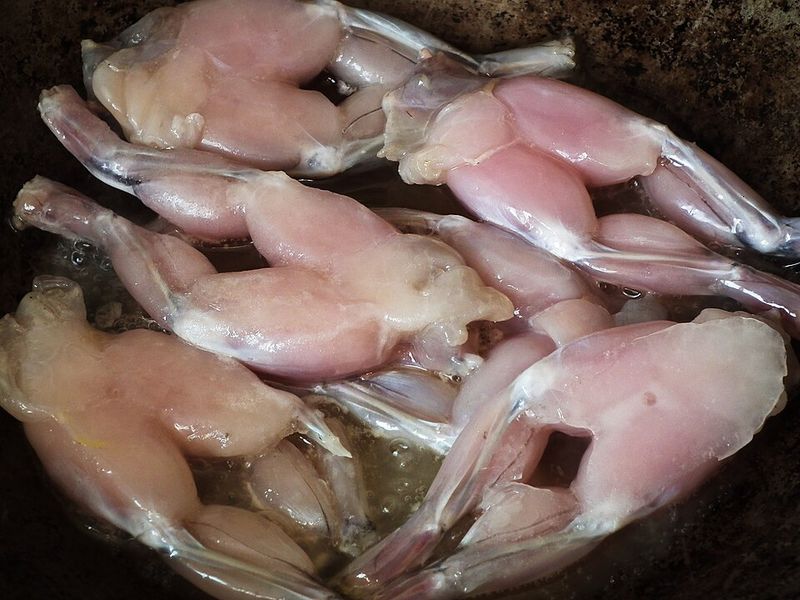 Frog Legs