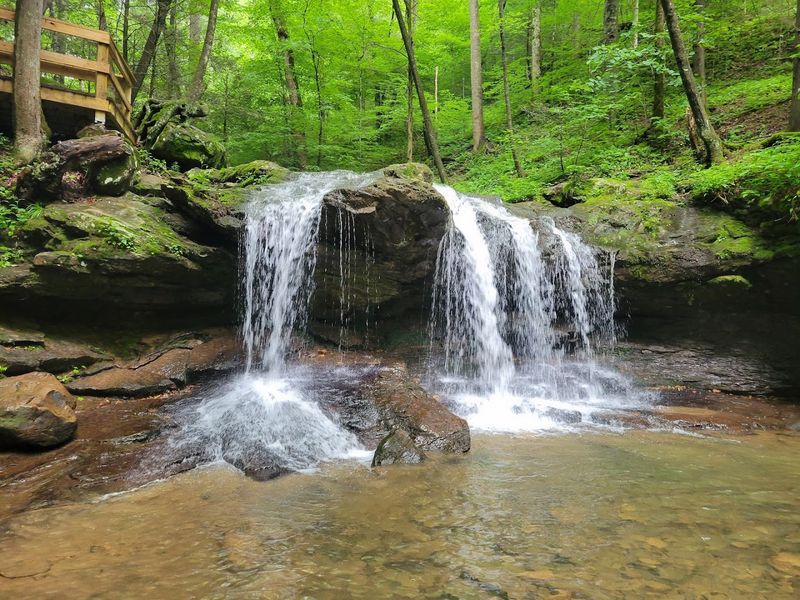 Frozen Head State Park, Wartburg, Tennessee Frozen Head State Park, Wartburg, Tennessee