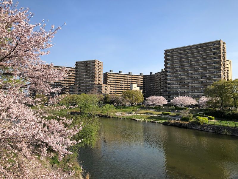 Fukuoka