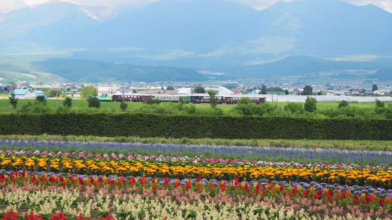 Furano, Hokkaido
