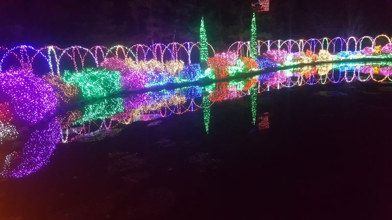 Garden of Lights: The Papilion After Dark