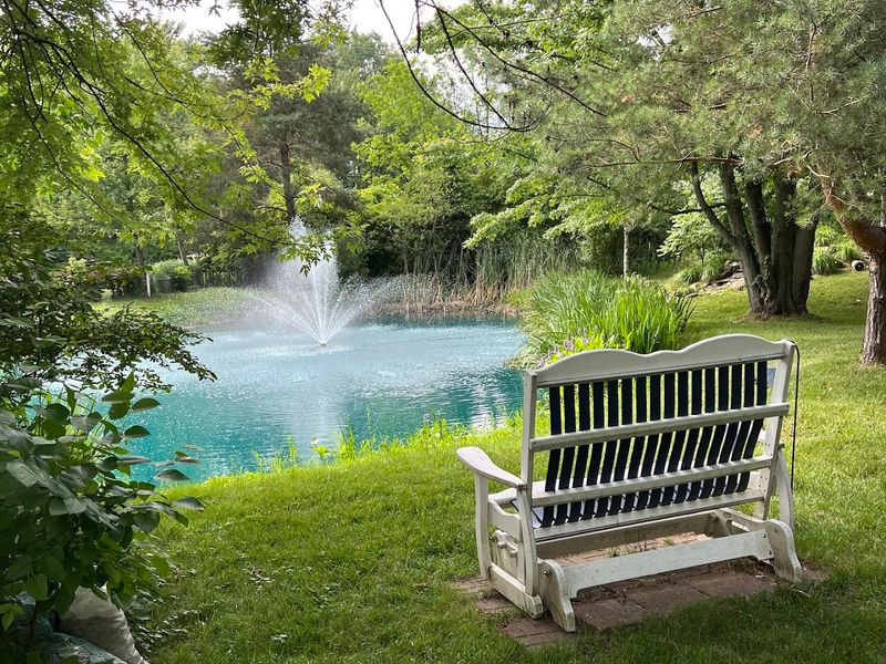 Gardens, Ponds, and a Vineyard You Did Not Expect to Find Here