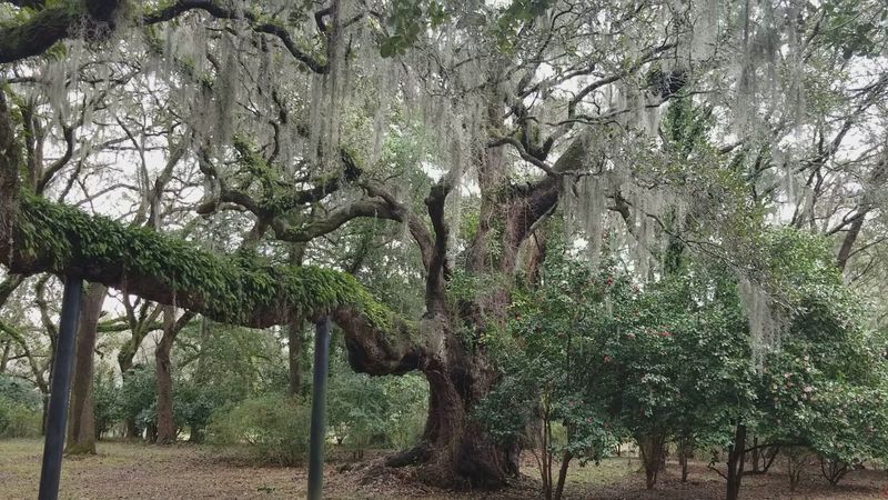 Gardens That Bloom Through the Seasons