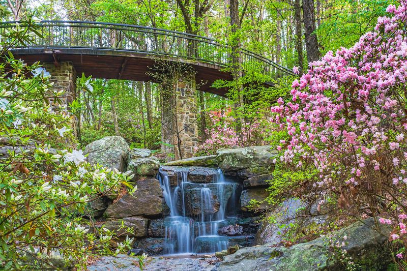 Garvan Woodland Gardens, Hot Springs, Arkansas Garvan Woodland Gardens, Hot Springs, Arkansas
