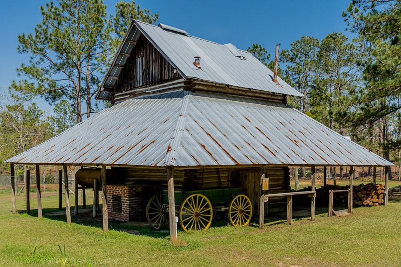 General Coffee State Park, Nicholls, Georgia