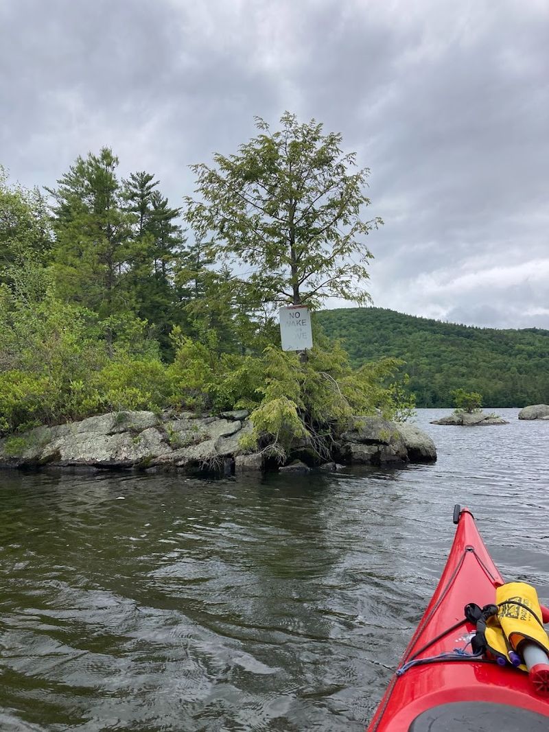 Getting Out on the Water: Boat Tours and Beyond