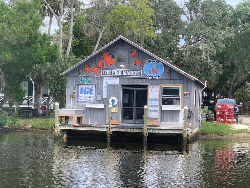 Getting the Most Out of Your Visit to Homosassa