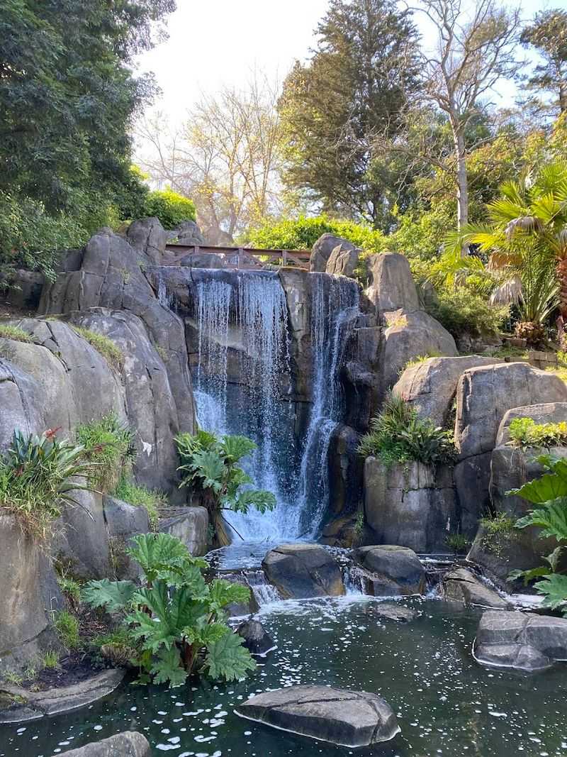 Golden Gate Park