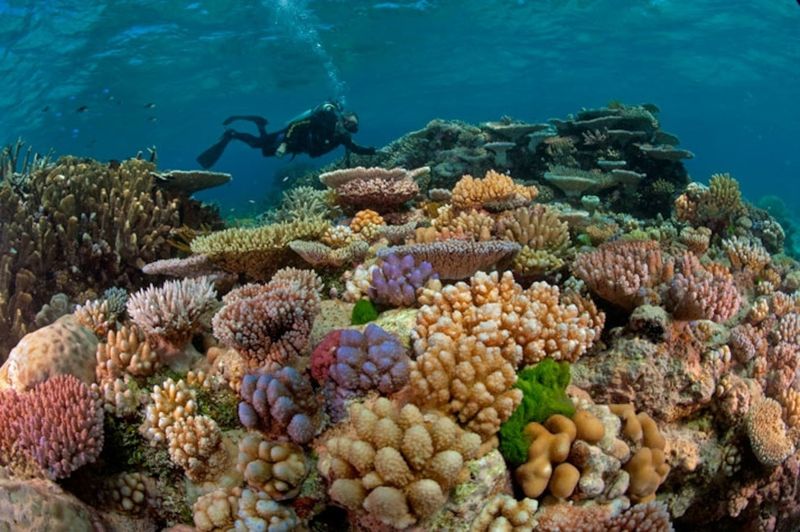 Great Barrier Reef – Australia