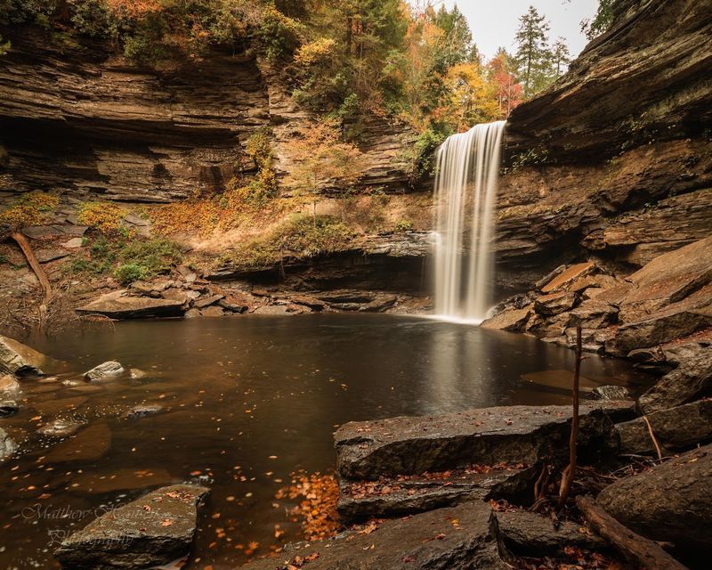 Greeter Falls Loop, Savage Gulf State Park, Altamont, Tennessee Greeter Falls Loop, Savage Gulf State Park, Altamont, Tennessee