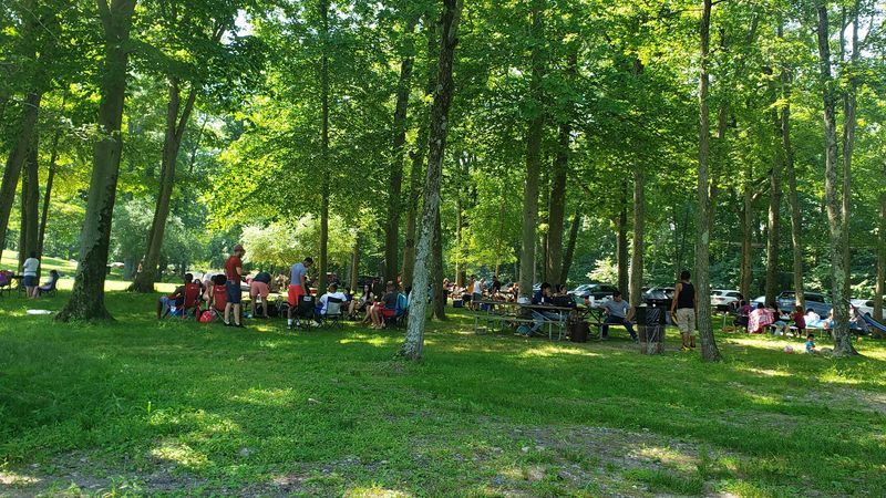 Grilling, Picnicking, and the Art of Claiming Your Spot